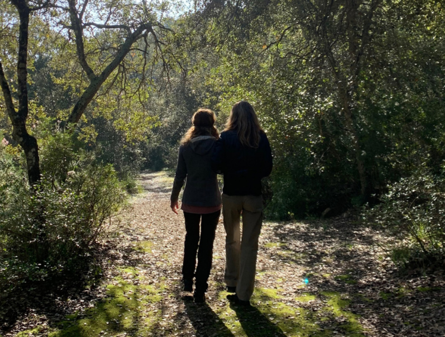 Dues persones caminant d'esquena per un camí de bosc, amb el sol entrant entre els arbres