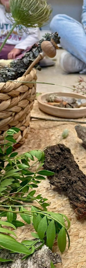 Tresors naturals -pinyes, escorça, fulles- damunt una estora, amb infants asseguts al voltant